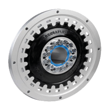 Arcusaflex Coupling