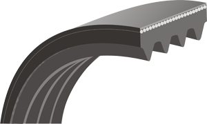 Automotive Belt