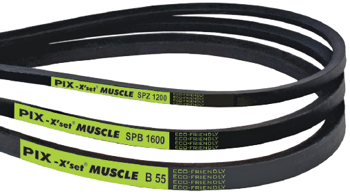 Muscle V-Belts