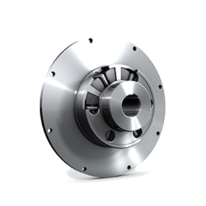 Centa Centaflex D Coupling