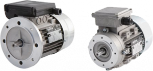 Electric Motors