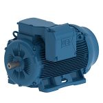 Choosing the Right Electric Motor