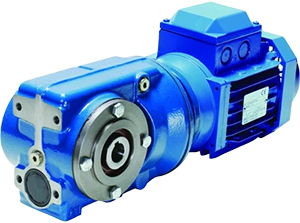 Elecon - Helical Worm Gearmotor Series C