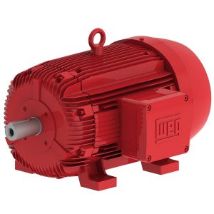 WEG W21 Explosion Proof Motor