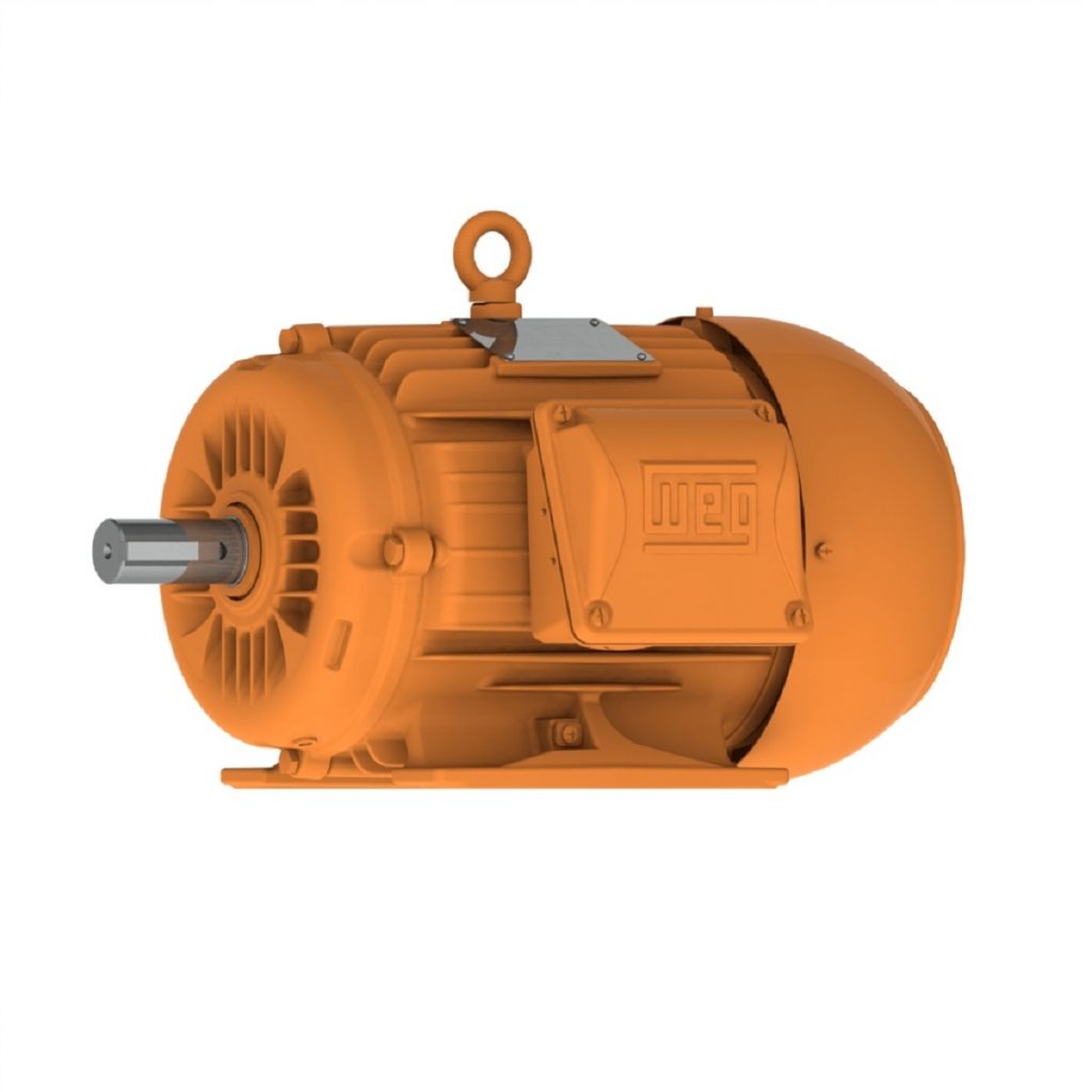 WEG W22 Mining Motor