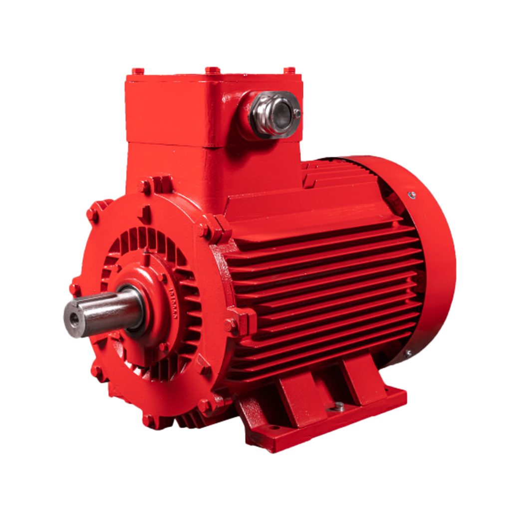 Techtop Exd (Flameproof) Motor