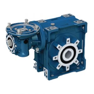 STM-RR-Double-Worm-Gearbox