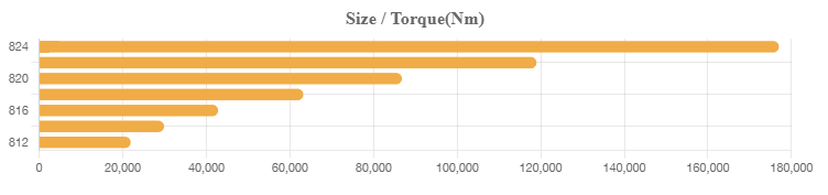 RXmaster Size Torque drawing