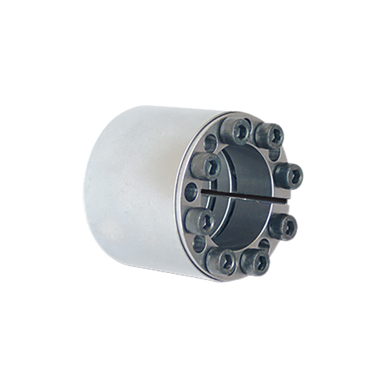Ringspann Cone Clamping Element - RLK 402