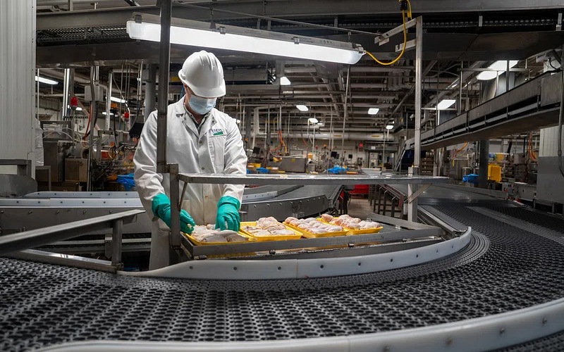 Food Processing Factory