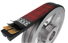 Bando PowerScrum belt