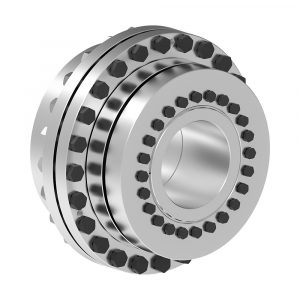 Ringfeder Flange Coupling